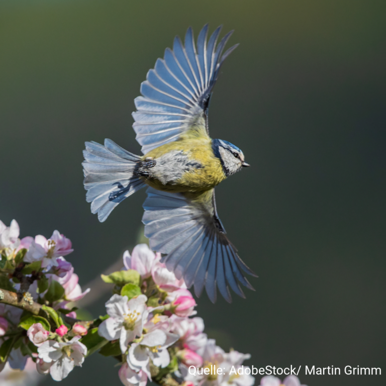 Aktionsmonat Naturerlebnis im Mai 2024