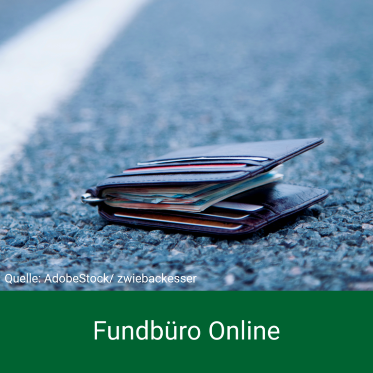 Fundbüro Online