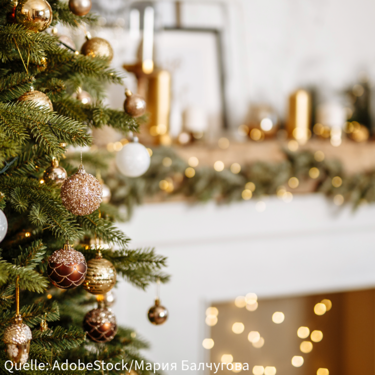 Einladung zur Seniorenweihnachtsfeier am 08.12.24